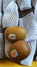 佳沛（zespri）新西兰 阳光金奇异果12粒礼盒特大果单果约122-146g 猕猴桃 水果 实拍图