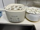 九阳（Joyoung）煮蛋器 蒸蛋器 温泉蛋机 智能定时自动断电 煮鸡蛋神器溏心蛋茶叶蛋 小型蒸锅早餐一体机GE361 实拍图