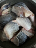 鲜活桂鱼400-500g 实拍图