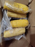 京鲜生东北糯玉米3黄3白3黑220g*9棒 真空包装新鲜甜糯玉米棒 源头直发 实拍图