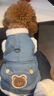 嬉皮狗（hipidog）狗狗衣服新年春节加绒保暖可牵引马甲中小型犬比熊宠物猫咪喜庆服 牛仔蓝色 L（建议体重8-11斤） 实拍图