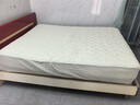A类夹棉床笠罩单件2025新款床罩席梦思床垫套保护罩防尘床单床套 回形-象牙白【抗菌柔软透气】 150cmx200cm单床笠 实拍图