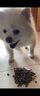 翡冷翠幼犬成犬小中大型狗粮犬粮泰迪比熊鹿肉味唤醒系列A5试吃 200g 实拍图