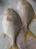 环球水产 南海金鲳鱼700g 2条 BAP认证深海鱼 冷冻 鱼类海鲜 家庭聚餐 实拍图