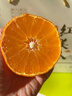 象山红美人正宗象山红美人柑橘【多地次日达】28号果冻橙年货节送礼盒 【超甜 | 甄选级】12枚单果200g+ 【送礼必选-老树果】精美礼盒 实拍图