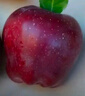 京鲜生 甘肃天水花牛苹果 又大又红 净重6斤 单果240g以上 生鲜水果  实拍图