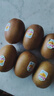 佳沛（zespri）新西兰  阳光金奇异果6粒装 单果约77-103g  源头直发  猕猴桃 实拍图