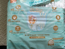 帮宝适散热王者一级帮婴儿拉拉裤尿不湿尿片尿布超薄透气XXL50+6 实拍图