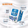 风行牛奶 蓝莓风味牛奶饮品 200ml*12盒 牛奶礼盒装 送礼佳品 实拍图