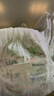 好奇（Huggies）小森林拉拉裤XL32+2片(12-17kg)尿不湿心钻【透氧顶配更低敏】 实拍图