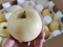 京地达烟台栖霞苹果奶油富士苹果 25年新果80级5斤烟台苹果水果源头直发 实拍图