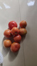 新鲜沙瓤大番茄生吃西红柿减肥早餐即食新鲜蔬菜生鲜单果＞100g 畅销装 2斤 带箱 实拍图