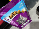 伟嘉成猫猫粮全价粮1.3kg海洋鱼味夹心粮布偶蓝猫橘猫 实拍图