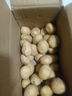 京喜加新鲜黄心土豆农家自种黄皮马铃薯黄心洋芋新鲜蔬菜 8斤 实拍图
