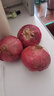 山东特产水果扁洋葱甜瓜口感红皮扁葱头生吃脆甜蘸酱好吃粉嫩 紫皮洋葱大果带箱 1斤 精选 实拍图
