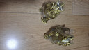吉善缘 全铜貔貅摆件 黄铜皮丘一对客厅办公室装饰店铺乔迁开业工艺礼品 中号黄铜一对 实拍图