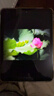 Apple/苹果 iPad11英寸 A16芯片2025年款 平板电脑 (256GB WLAN版/学习办公娱乐)粉色 实拍图