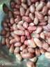 十月稻田 花生米 2斤 (中粒 红皮 生花生米 东北 五谷 杂粮 粗粮 真空装) 实拍图