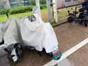 雨衣雨罩一体两用电动车全身防暴雨防雨罩加厚加大电瓶车雨披 5XL有后视镜套-米白色 实拍图