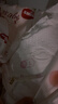 好奇（Huggies）铂金装小桃裤成长裤XL96片(12-17kg)加大号尿不湿【透爽散热】 实拍图
