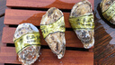 乳山牡蛎 鲜活乳山生蚝2XL 净重3斤 9-12只 生鲜海鲜  源头直发 烧烤食材 实拍图