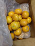 柏馋广西沃柑新鲜纯甜橘子当季时令水果桔子柑橘应季整箱正宗当季 精选9斤净重8.5斤 中果55-65mm 实拍图