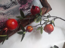 草木鲜生大红石榴果4头仿真花干花年宵花新年过年春节装饰客厅摆件红果 实拍图