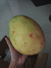 京鲜生杨枝甘露芒果 净重4.5斤 带箱5斤 单果500g+ 生鲜水果源头直发 实拍图