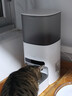 霍曼（Homerun）AI智能宠物自动喂食器视频版 猫狗喂食定时定量摄像头可视 可插卡 实拍图