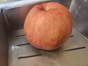 京鲜生 新疆阿克苏苹果  净重5斤装 果径90-95mm 新鲜水果 实拍图