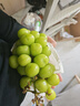 京鲜生国产阳光玫瑰净重4.5斤单果13g 葡萄/提子生鲜水果源头直发包邮 实拍图