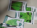 北蔬 各种蔬菜种子生菜菠菜香菜小香葱芹菜阳台四季菜籽 12种蔬菜种子 实拍图
