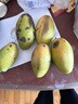 【双十一热卖】玉芒水果芒果新鲜上市 带箱6斤【单果200g以上】 实拍图
