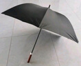 天玮伞业（Tianwei umbrella）雨伞自动晴雨伞大号便携两用遮阳伞折叠伞太阳伞全自动伞T330011 实拍图