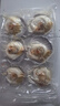 獐子岛 冷冻蒜蓉粉丝扇贝 净重600g 18只 烧烤食材 生鲜 海鲜水产  实拍图