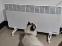 西狄亚（CYTHA）欧洲进口静音节能家用取暖器壁挂式落地式电暖器全屋升温电暖气片大面积采暖 C16-2500W（适用≤25㎡） 16A三项插头 实拍图
