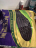 十月稻田 黑糯玉米 3.52斤(220g*8根) 东北玉米 杂粮粗粮 低脂早餐 新米 实拍图