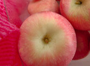 京鲜生 山东栖霞红富士苹果精品12粒 单果190g-240g  水果礼盒 实拍图