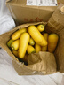 【真便宜】新疆冰糖心金黄胡萝卜水果萝卜新鲜蔬菜手抓饭直播间 黄胡萝卜 含箱5斤 实拍图
