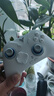 飞智冰原狼4多模版无线游戏手柄 类xbox 力调节摇杆双切扳机 switch电脑PC手机steam体感NS 丝之歌 实拍图
