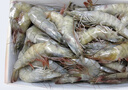 卖鱼郎先生青岛盐冻大虾净重3斤 15-20只/斤 白虾大虾基围虾生鲜 虾类 实拍图