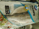 海名威 冷冻三去鲜蒸海鲈鱼450g/条(配料包)深海鱼 生鲜鱼类 海鲜水产 实拍图