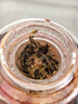 祥源茶 红茶 祁门红茶 祁红香螺毛峰桂花红茶组合试喝品鉴装16g 实拍图