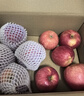 京鲜生 新疆阿克苏冰糖心苹果 净重9斤 果径75mm 新鲜水果 实拍图
