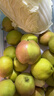 趣尝鲜山西玉露香梨 250g+ 净重5斤 新鲜水果生鲜 1号店 源头直发 实拍图