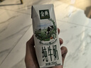 伊利【新鲜日期】金典纯牛奶整箱 250ml*16盒 3.6g乳蛋白 礼盒装 实拍图