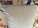安睡宝（SOMERELLE） 进口七孔纤维枕头全棉A类抗菌酒店护颈椎枕芯睡眠枕靠枕可水洗 升级抗菌进口七孔枕蓝-高枕 单只 一只装 实拍图