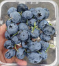 京鲜生 云南蓝莓 4盒 14mm+装125g/盒 生鲜水果 源头直发 包邮 实拍图
