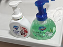 舒肤佳抑菌泡沫洗手液3瓶装 300g(红石榴+芦荟+ 柠檬) 健康抑菌99.9% 实拍图