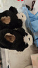 巴拉巴拉男童棉拖鞋熊猫可爱小女孩室内家居包跟毛茸棉鞋儿童保暖毛毛鞋冬 实拍图